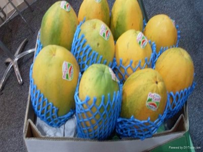 فوم توری پلی اتیلن بسته بندی میوه جهت فروش